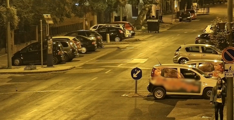 Ez a férfi rongálta meg a székesfehérvári lovasszobrot