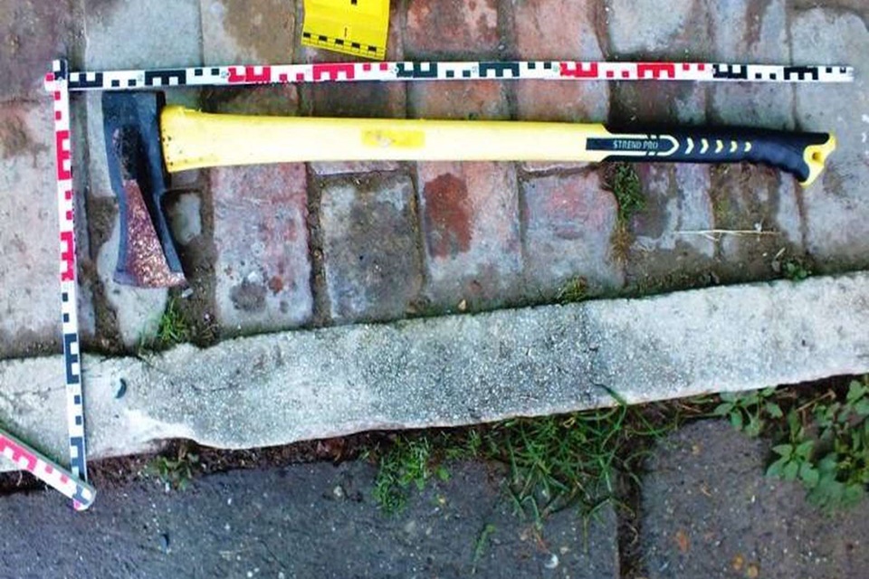 Feldühítette a testvére, baltával ütötte agyon a kutyáját