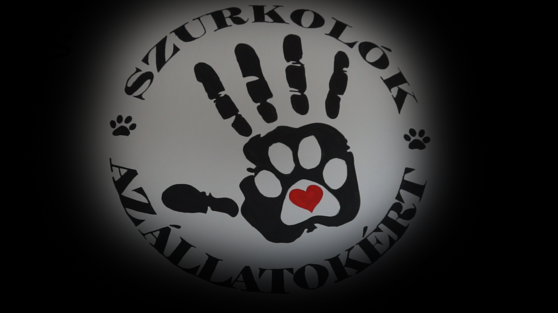 Szurkolók az állatokért: Tudunk olyan étteremről, ahol selyemmajom van az étlapon - videó