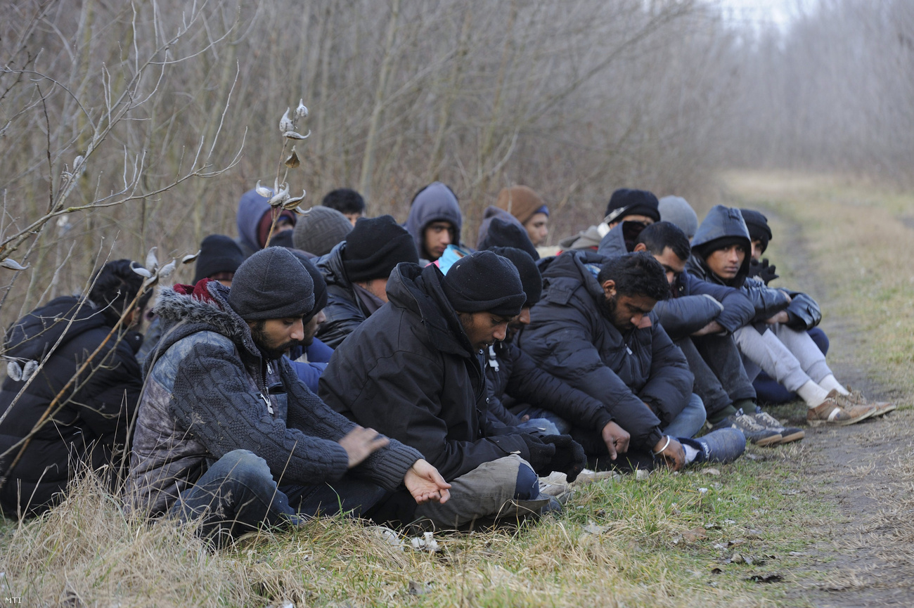 Az elmúlt hétvégén 350 migráns akart bejutni hazánk területére