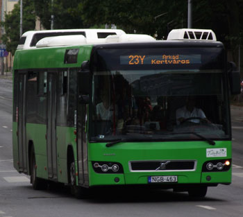 A kisgyerekek sírva nézték végig, ahogy a szülők rabolni próbáltak