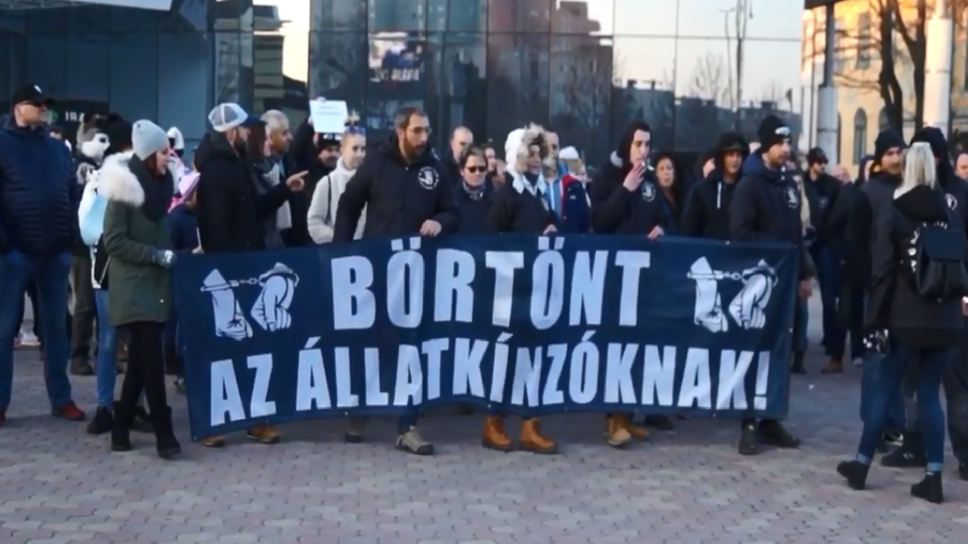 Fülöp Erik: letöltendőt az állatkínzóknak!