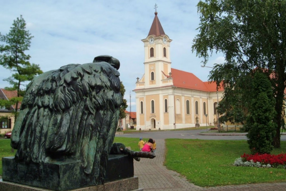 Zala megyében is megjelent a koronavírus