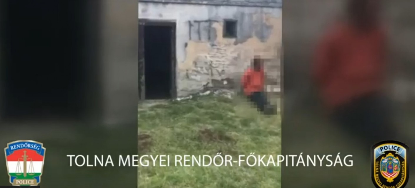 Egy bölcskei pincében termesztették a kábítószert (videó)