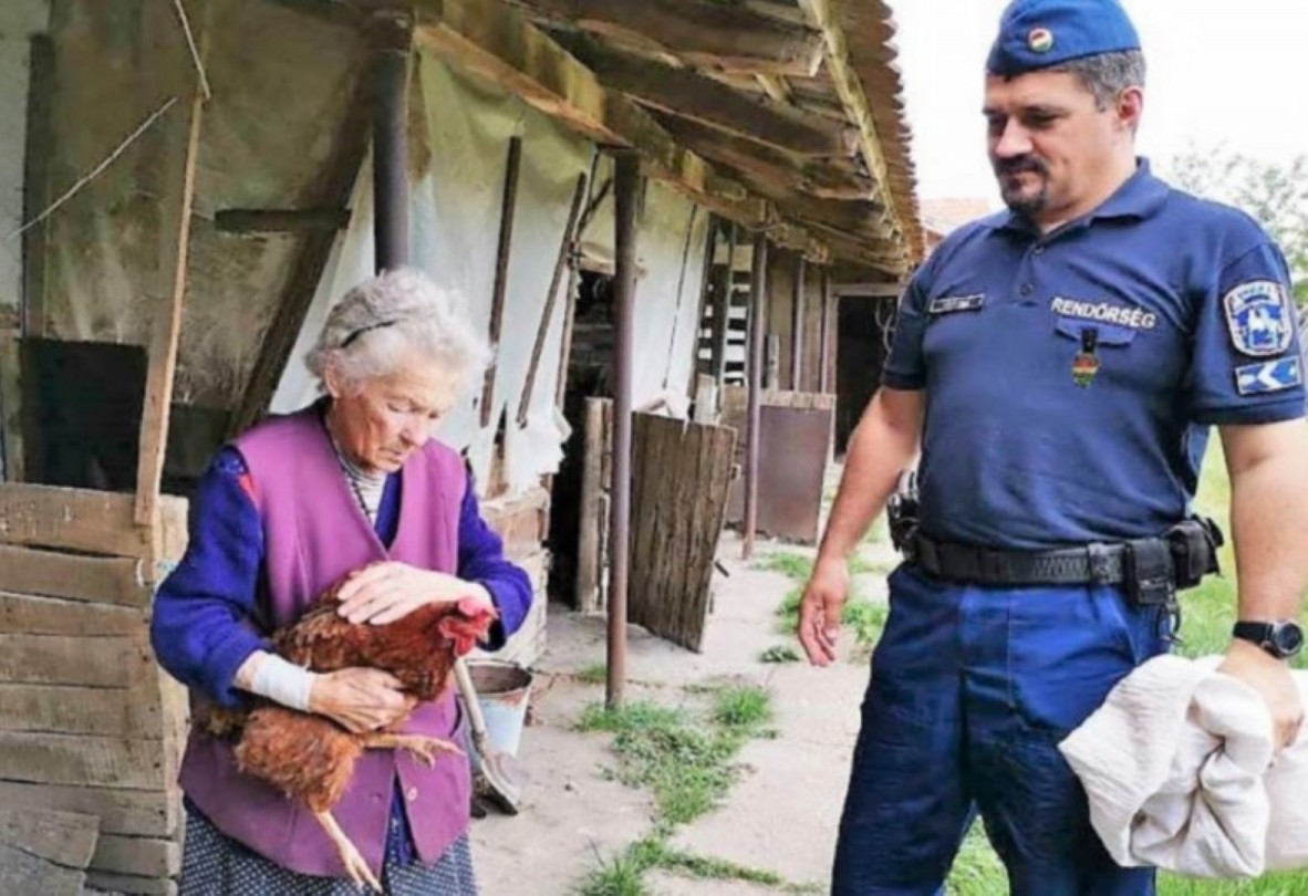 Tyúktolvajokat a kukorica buktatta le, pár utcával távolabb