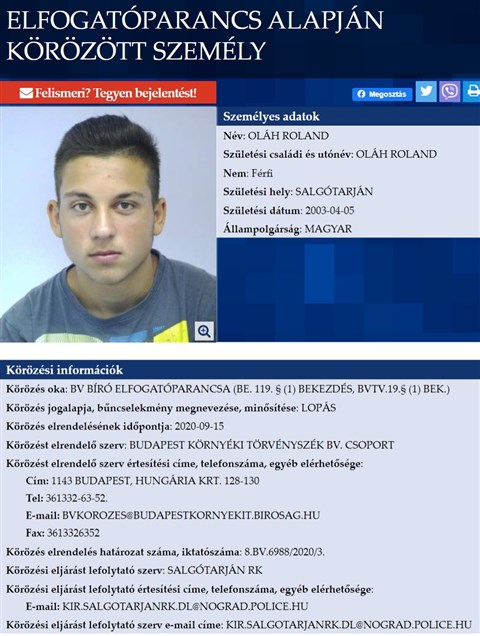 Nem kaphatott hét és fél évnél többet az intézetiszökevény cigány, aki bedrogozva autót lopott, majd megölt két embert
