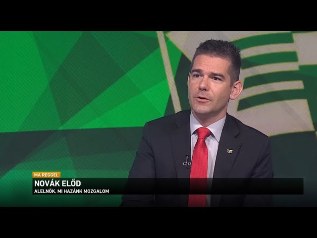 Novák Előd: politikai hullarablás zajlik a Jobbikban