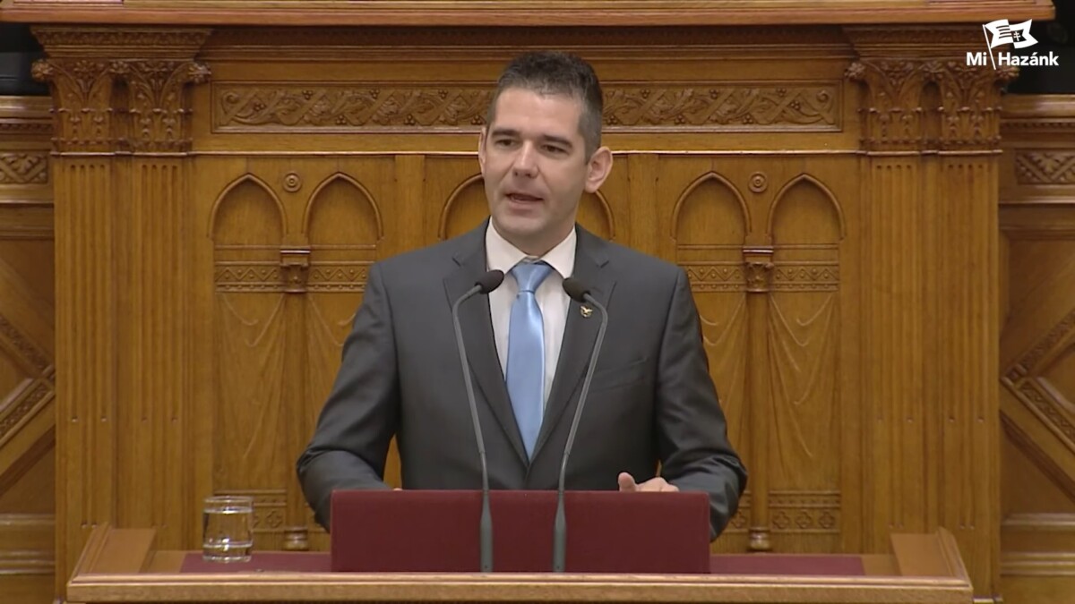 A baloldal reggelig mondta magáét, a Mi Hazánk szerint a szociális válság költségeit nem szabad a társadalomra terhelni