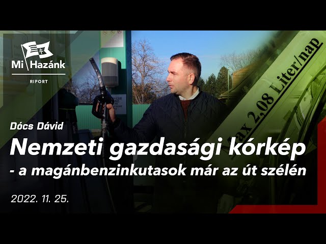 Nemzeti gazdasági kórkép - a magánbenzinkutasok már az út szélén