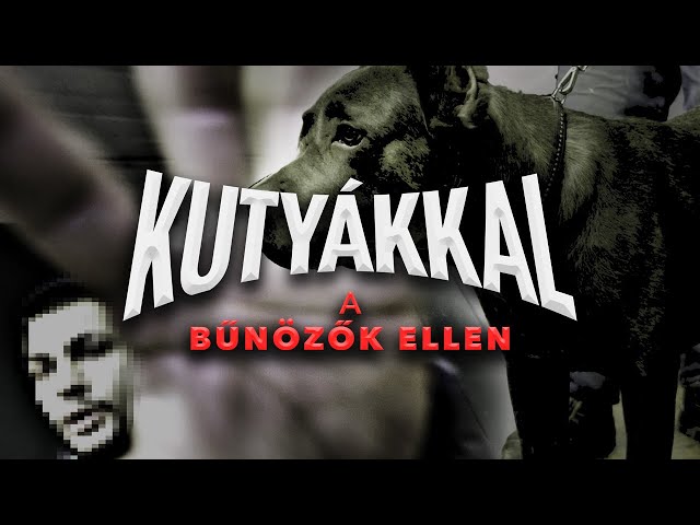 Kutyákkal a védtelen emberekért (videó)