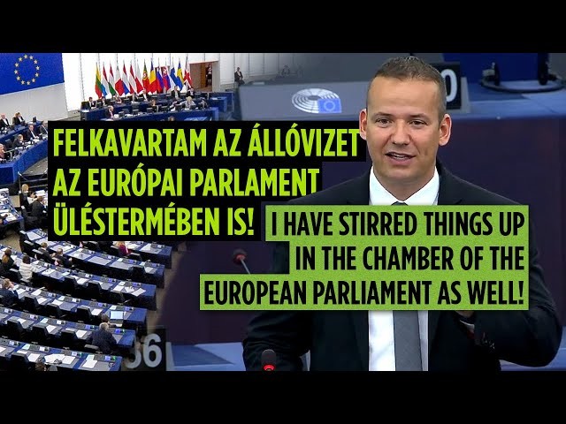 "Felkavartam az állóvizet az Európai Parlament üléstermében is!" (+VIDEÓ)