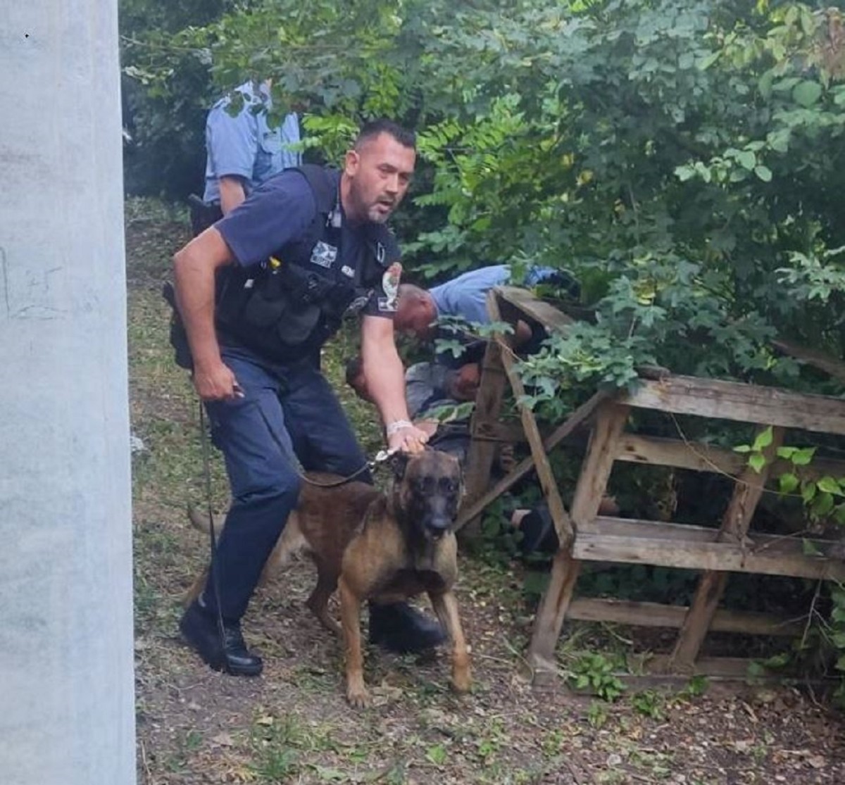 Szag után ment a rendőrkutya - jól tette