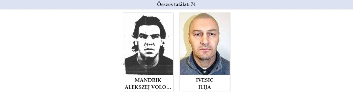 Migráns- és cigánybűnözés a tények tükrében