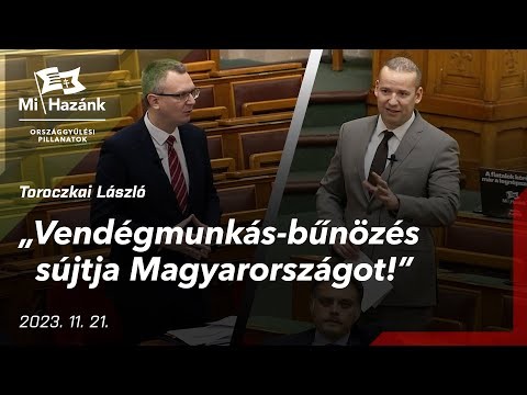 "Vendégmunkás-bűnözés sújtja Magyarországot!" (+VIDEÓ)