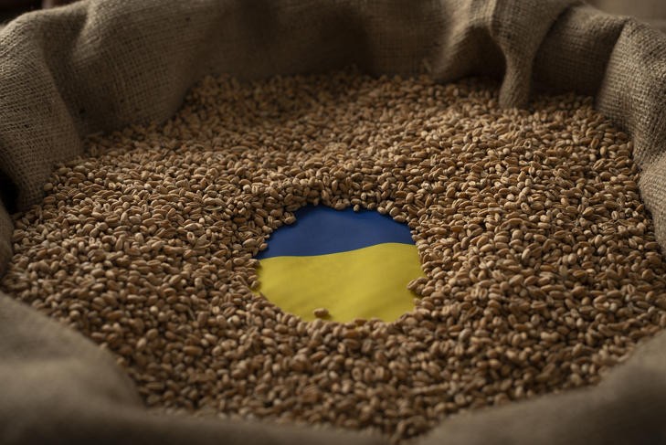 Súlyos veszteséget szenved el az ukrán gabonaexport