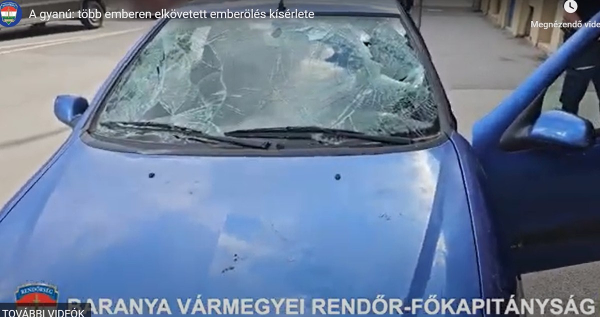 Macséta, autós elütés, akcióban a pécsi "szóváltók"