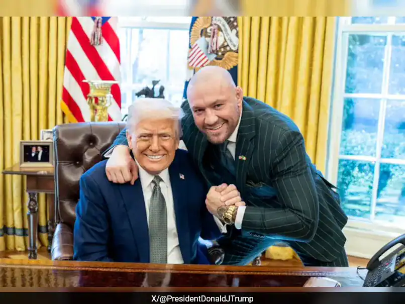 Conor McGregor is elindul az ír elnökválasztáson!