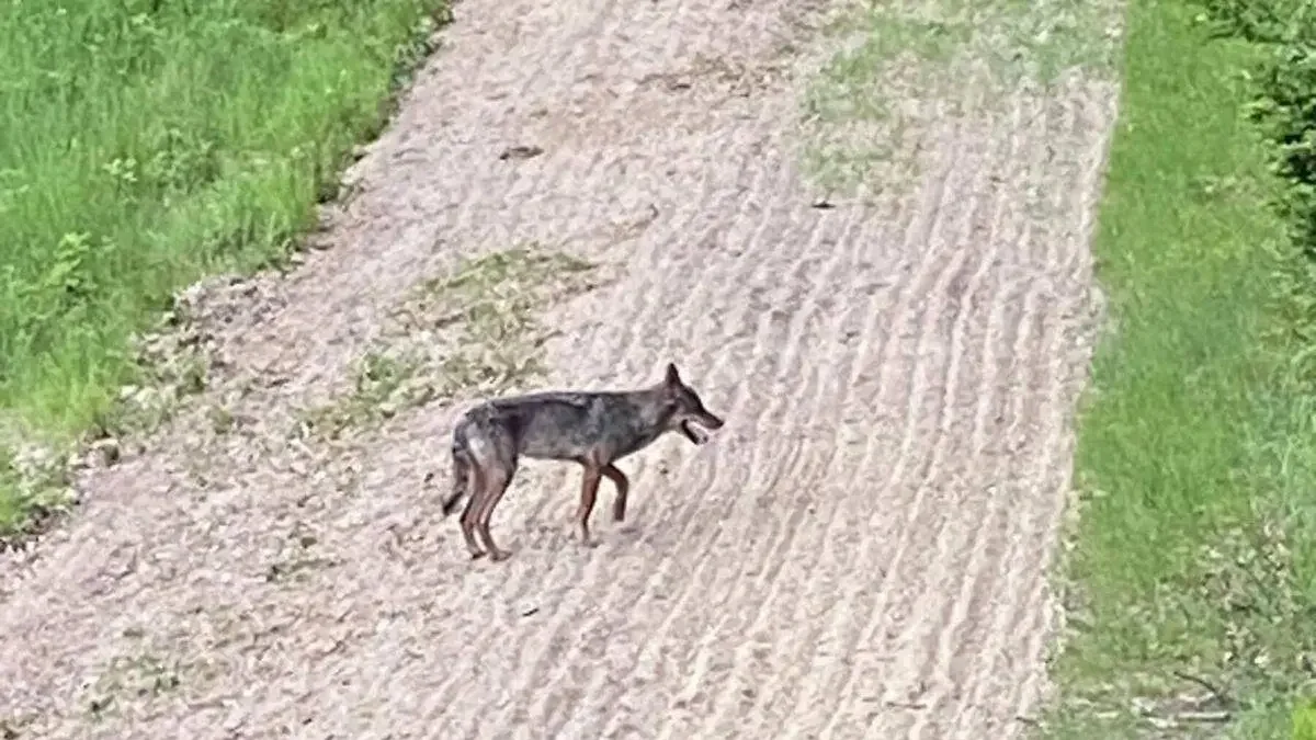 Fotó: Nimród vadászújság