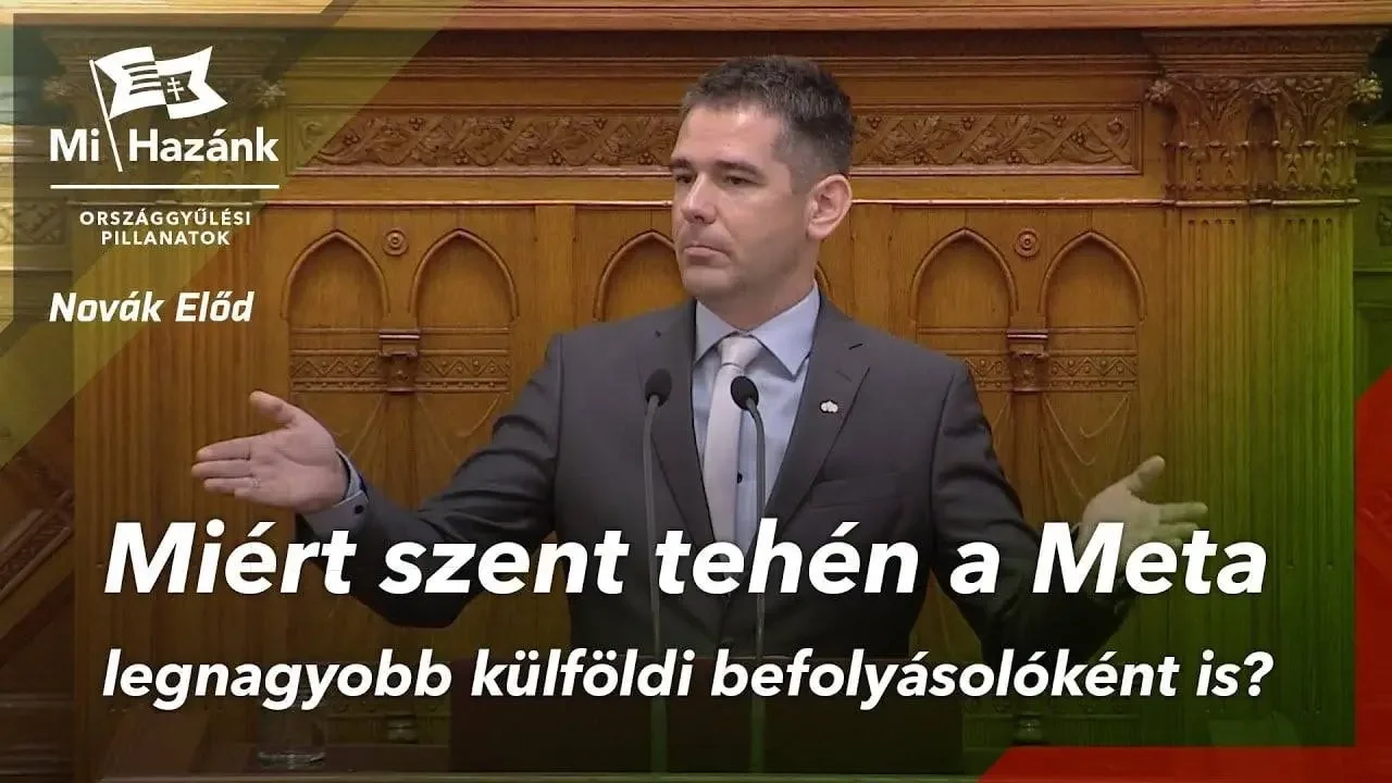A kormány nem a valódi külföldi befolyás ellen lép fel