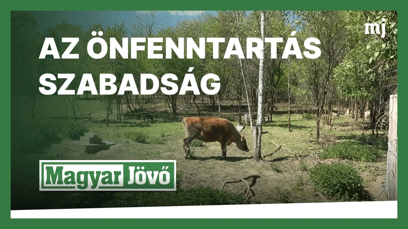 Háztáji gazdálkodással a függetlenség felé (+VIDEÓ)
