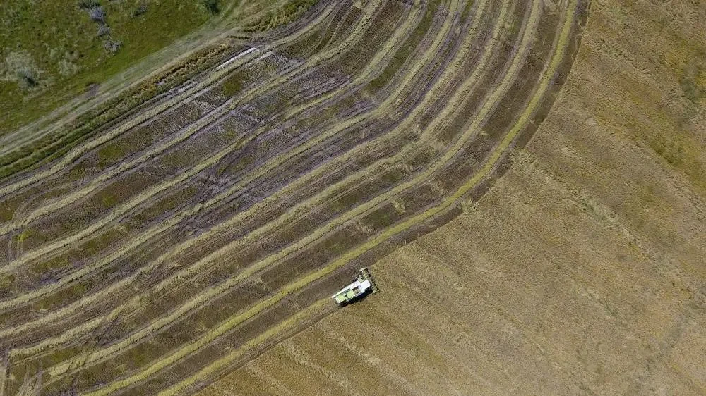 Hiteles szakemberek a minőségi élet szolgálatában