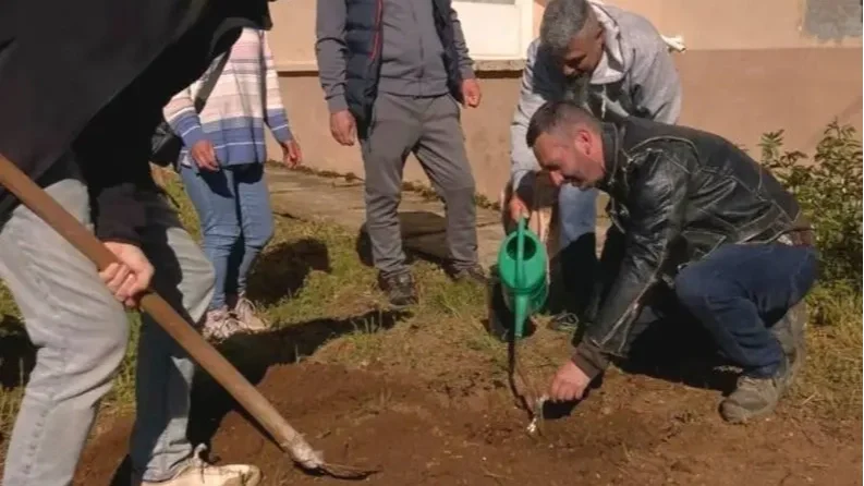 Régi magyar fajták megmentése: ültessünk őshonos gyümölcsfákat gyermekeink születésének örömére