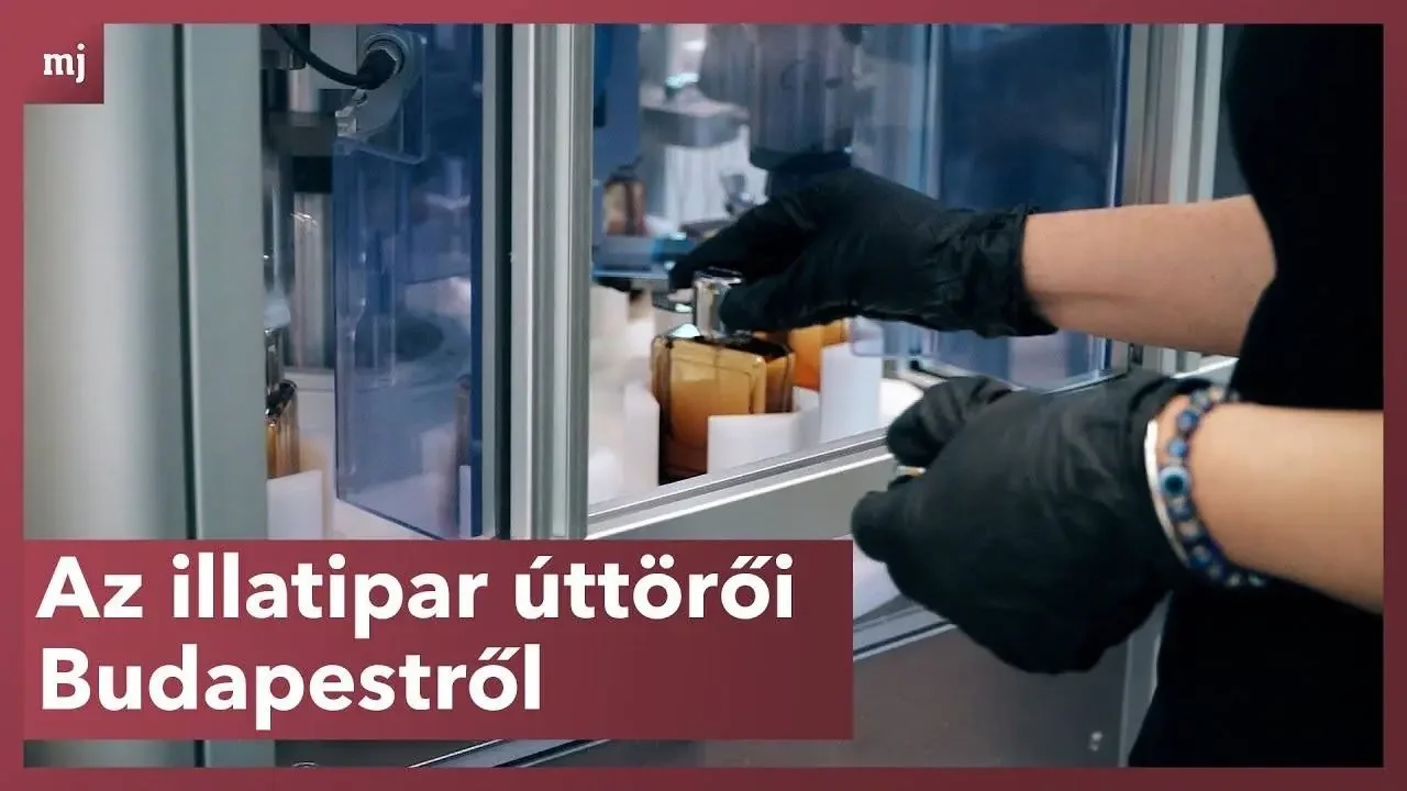 Utat törtek a nagyok közé: a SUPERZ Budapest néhány év alatt lett világmárka (+VIDEÓ)