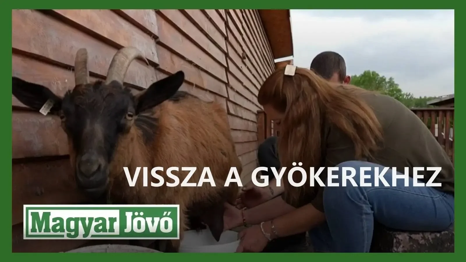 Aki mindent feladott egy kecskefarmért