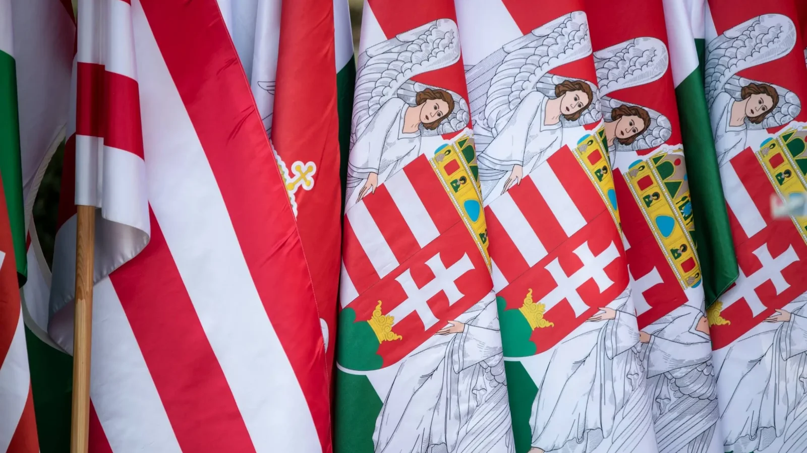 A nemzeti radikális politika fejlődési szakaszai