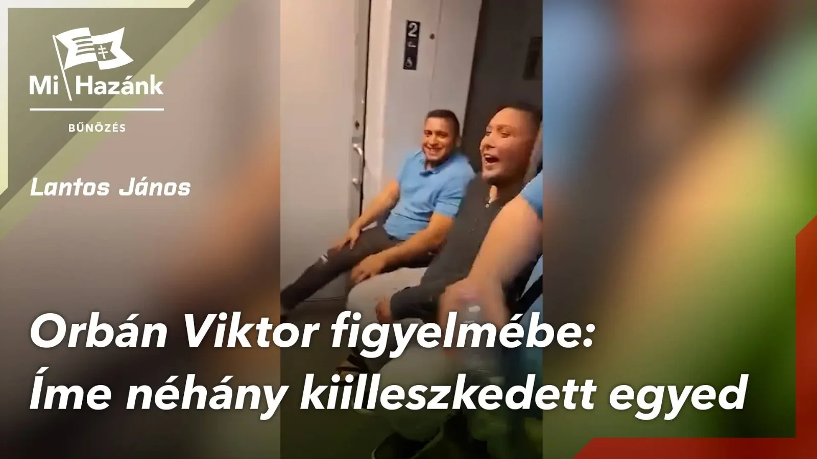Félállati őrjöngés a MÁV járatain (+VIDEÓ) 