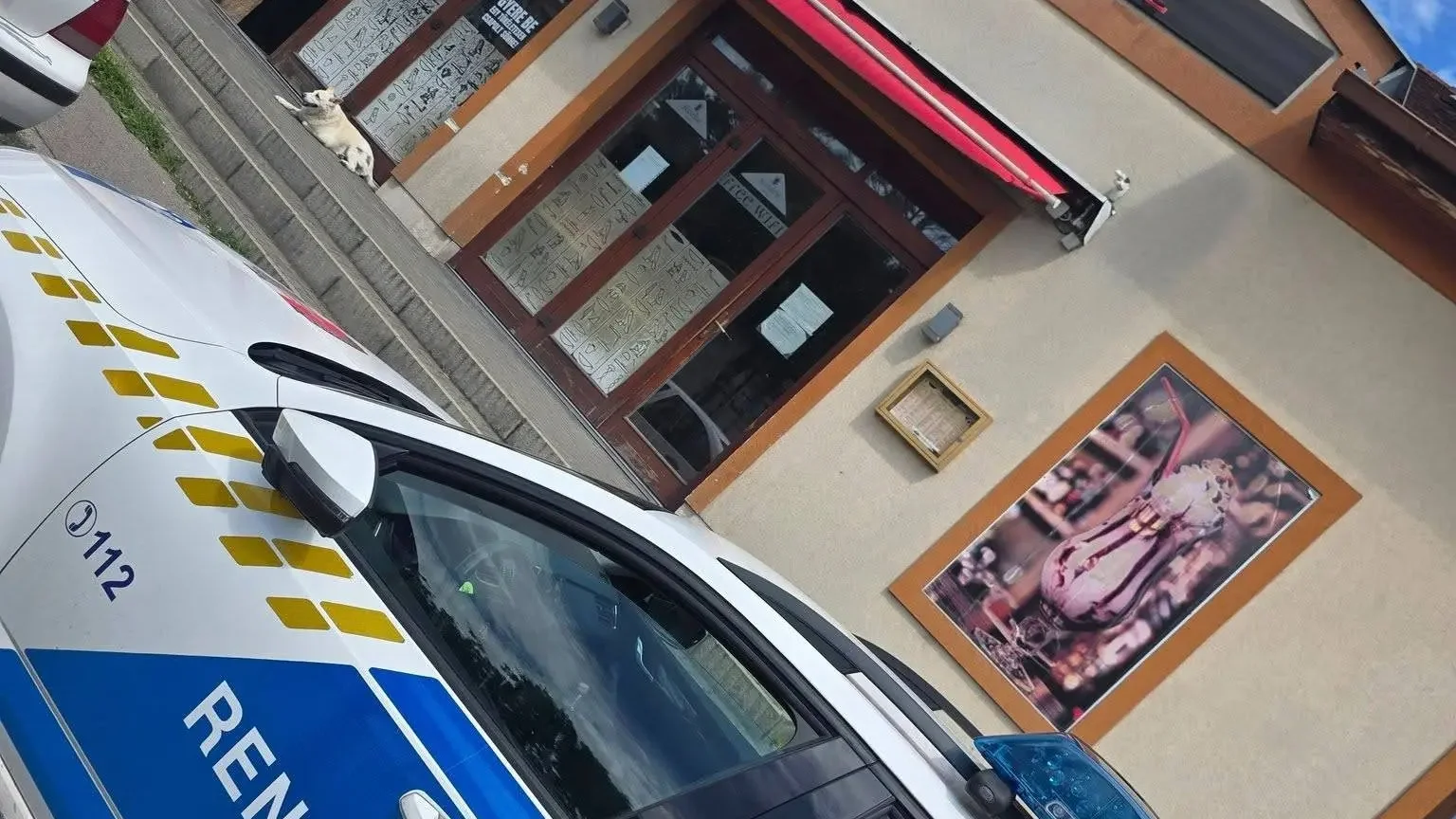 Fotó: Tizenegy Állatvédő Egyesület