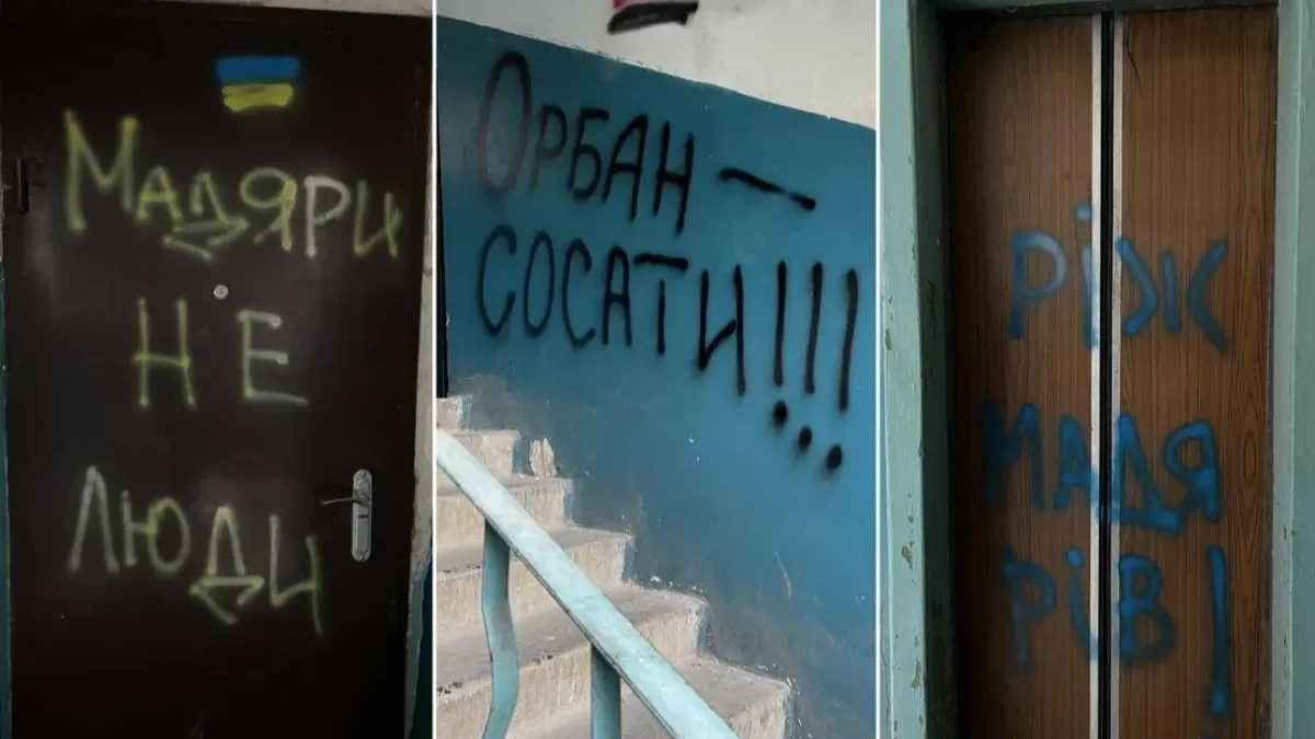 Fotó: Vadhajtások