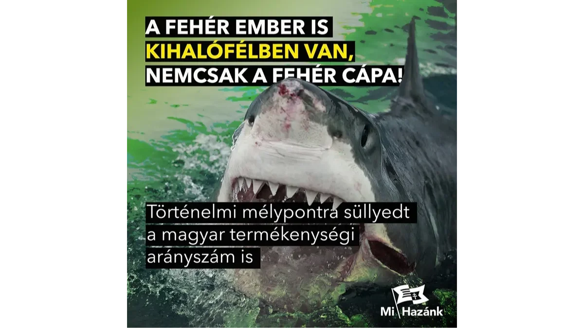 A fehér ember is kihalófélben van, nemcsak a fehér cápa