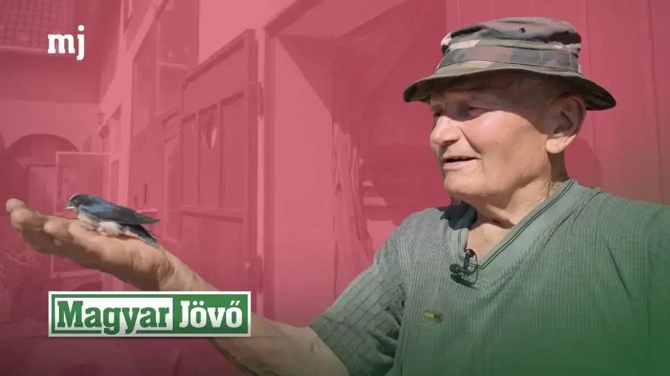 Repülj haza, fecske! (+VIDEÓ)