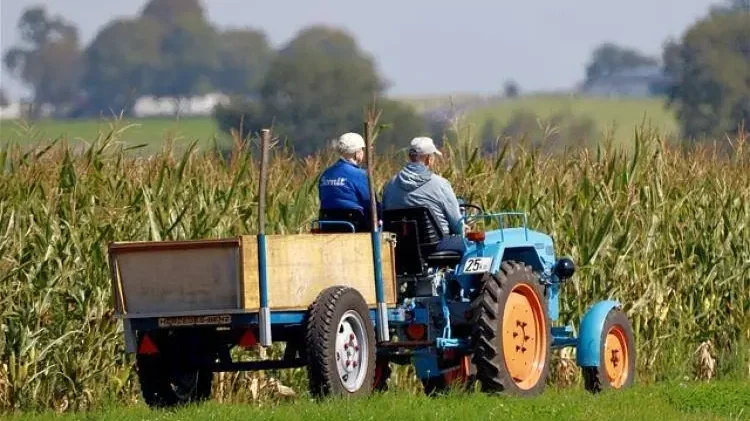 Forrás: agroinform.hu