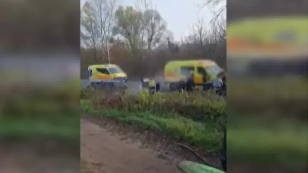 Fotó forrása: tenyek.hu