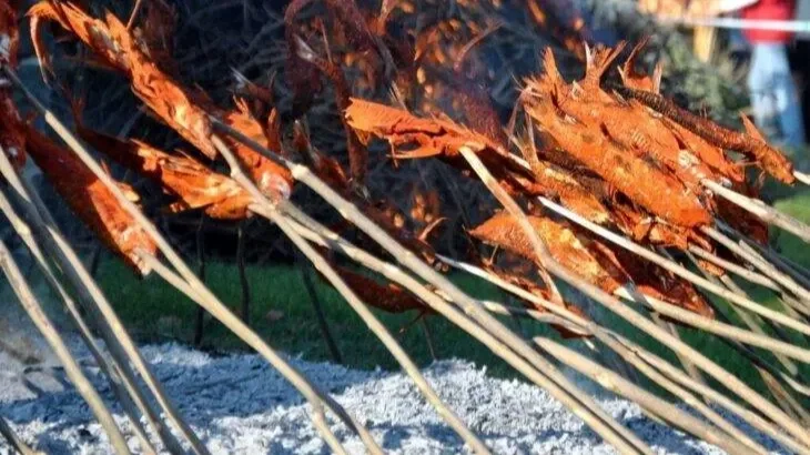 Kép: hellobalaton.hu