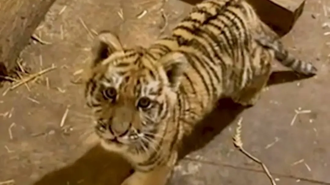 Kép: rendészeti államtitkárság Facebook-oldala