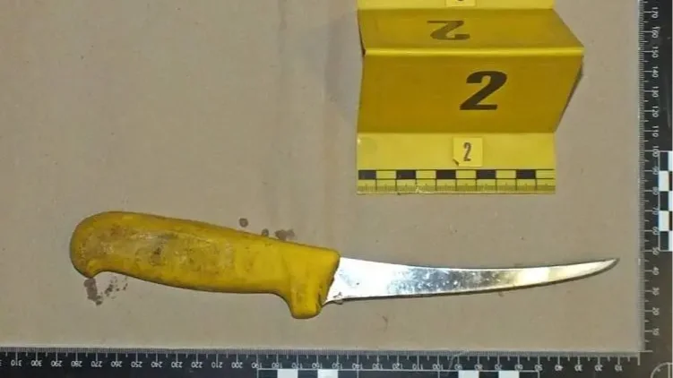 Az egyik lefoglalt kés.