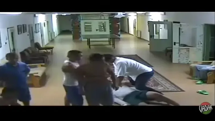 Forrás: Vadhajtások, YouTube