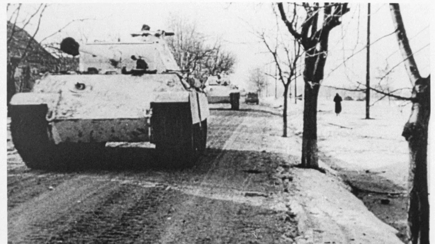 Kép forrása: Bernáth Gábor