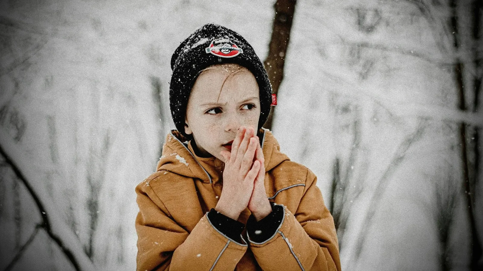 Kép forrása: Pexels