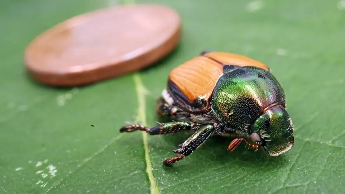 Kép forrása: Uli Deck/picture alliance via Getty Images