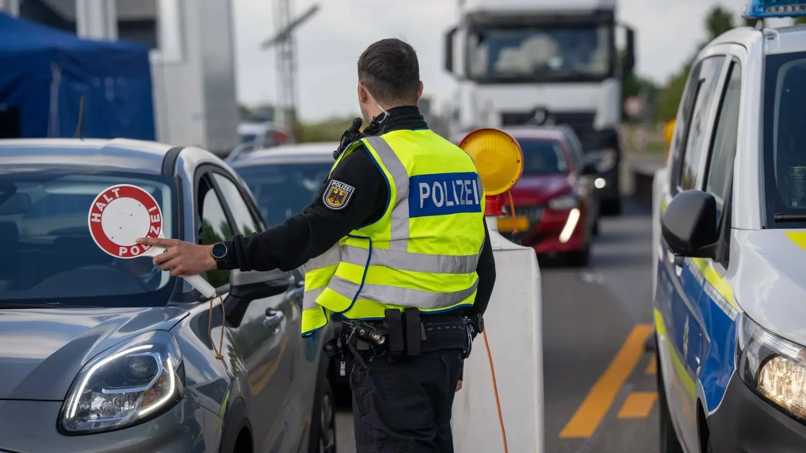 Kép forrása: buzzard.com