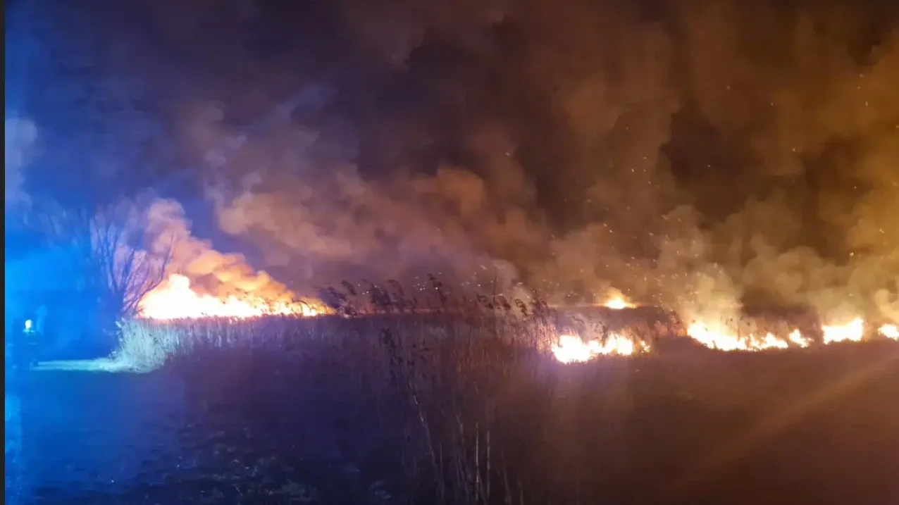 Kép forrása: szmo.hu