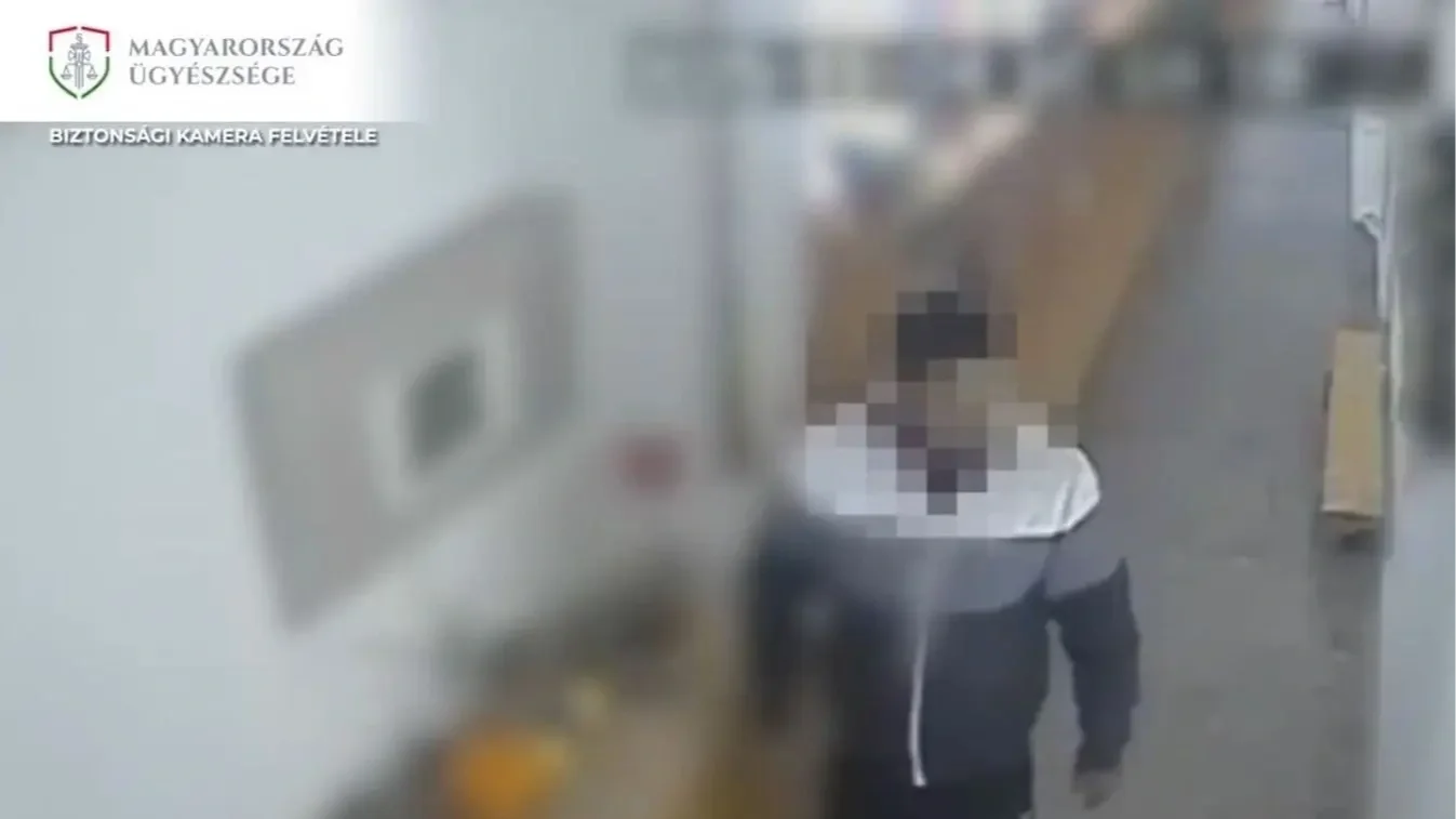 Kép forrása: Magyar Nemzet