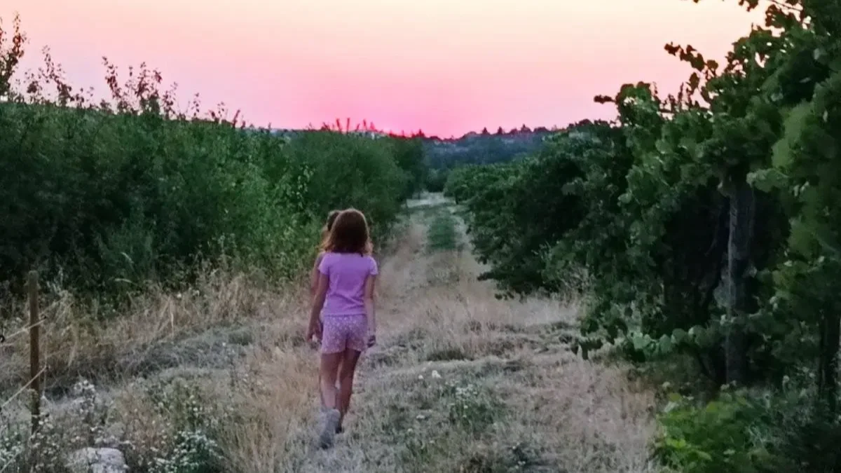 Kép forrása: saját