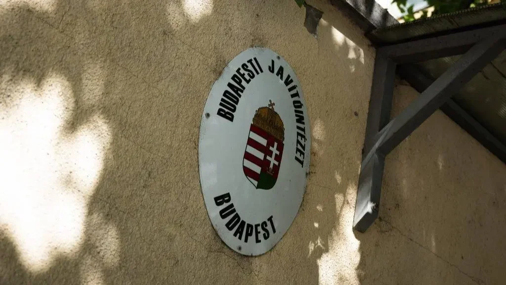 Kép forrása: Szajki Bálint/24.h