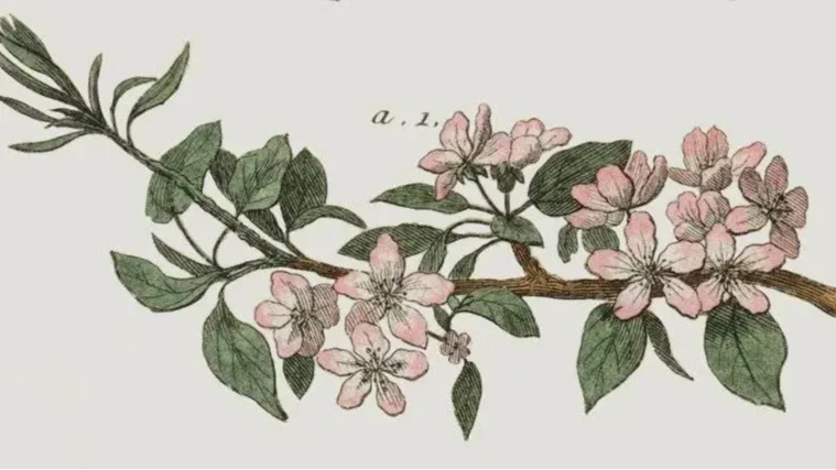 Kép forrása: nepi.kultura.hu