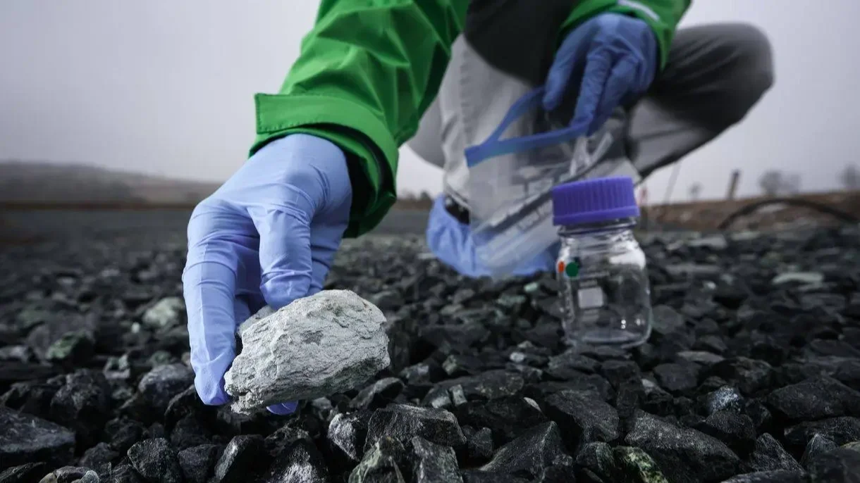 Illusztráció | Kép forrása: Greenpeace